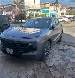 جيتور داشينج